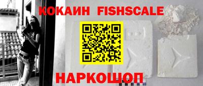 амф Кингисепп