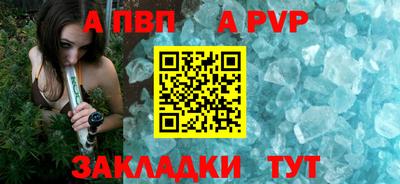 амф Кингисепп