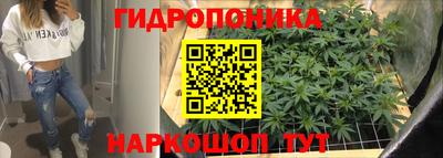 apvp Кимры