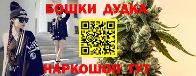 apvp Кимры