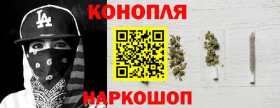 амф Кингисепп