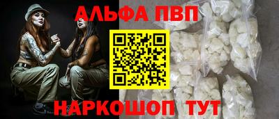 амф Кингисепп