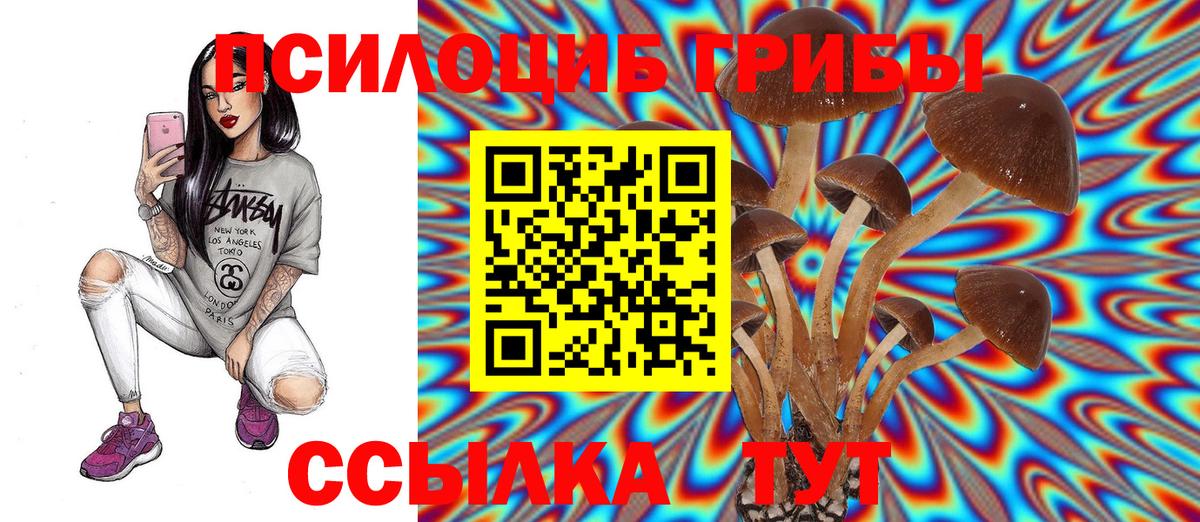 Галлюциногенные грибы прущие грибы Куйбышев