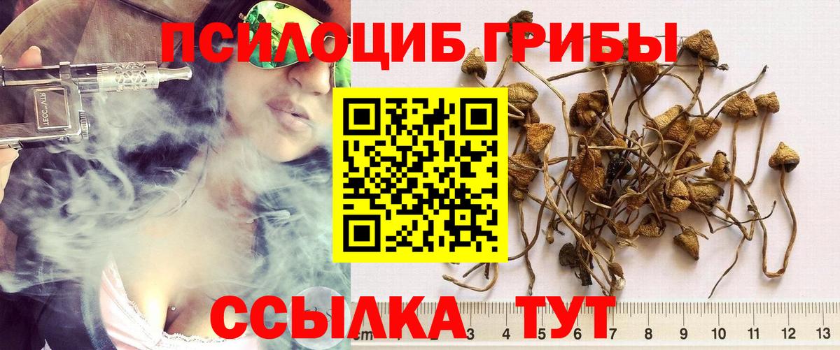 Куйбышев  Псилоцибиновые грибы Magic Shrooms  Вход с VPN  Галлюциногенные грибы мухоморы 